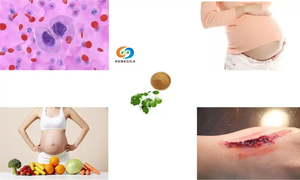 Is centella asiatica extract powder safe during pregnancy? Is centella asiatica extract powder safe during pregnancy?